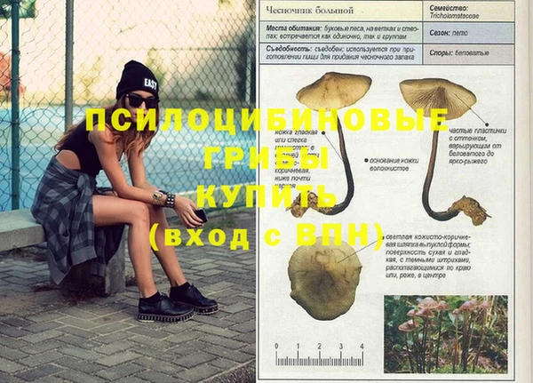 прущий лед Армянск