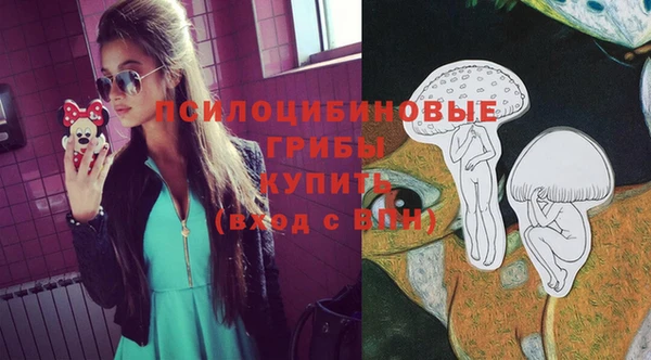 молекула духа Арсеньев
