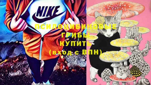 молекула духа Арсеньев