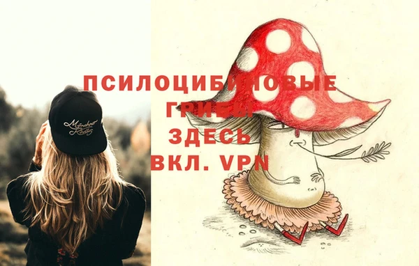 молекула духа Арсеньев
