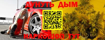 mdpv Краснознаменск