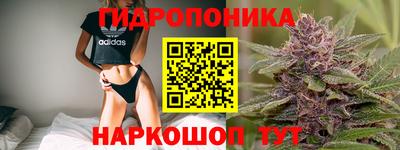 mdpv Краснознаменск