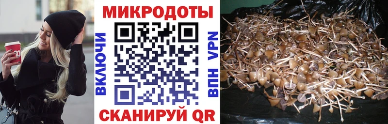 Псилоцибиновые грибы GOLDEN TEACHER  Красноярск 