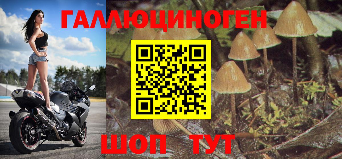 Галлюциногенные грибы Cubensis  Галлюциногенные грибы Psilocybe  Красноярск  Вход с VPN 