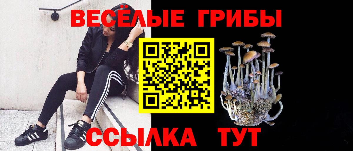 Псилоцибиновые грибы прущие грибы Красноярск